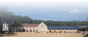 Le Plessis