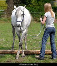 Horsemanship-tip
