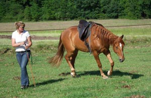 Anna de Winter en Quasi du Plessis