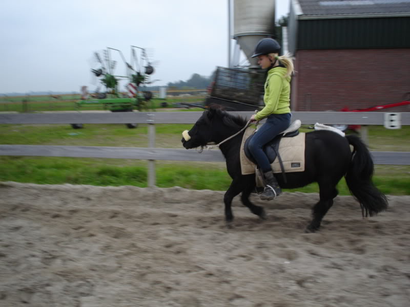 voordeel stoom wij NHForum