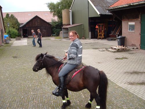 voordeel stoom wij NHForum