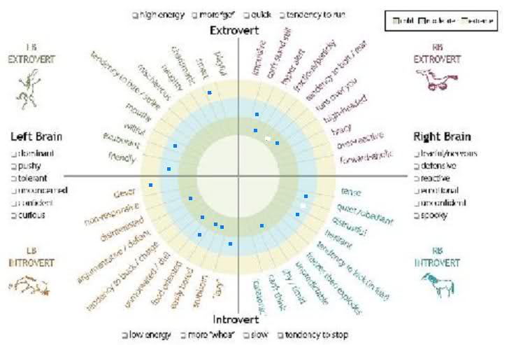 Horsenality Chart