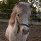Desiree_Baxter's Avatar