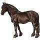 Suusida's Avatar