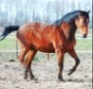 Fordranchero's Avatar