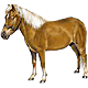 EllenOjevaar's Avatar