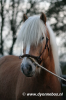 KikiKSA's Avatar