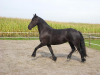 xanne's Avatar