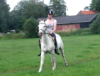 hiphorse's Avatar