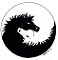 basicsoflive's Avatar