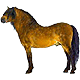 Cherry Ann's Avatar