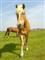mijnhafje's Avatar